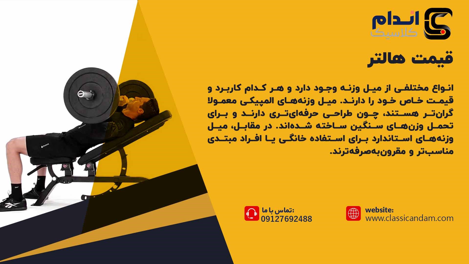 قیمت هالتر 