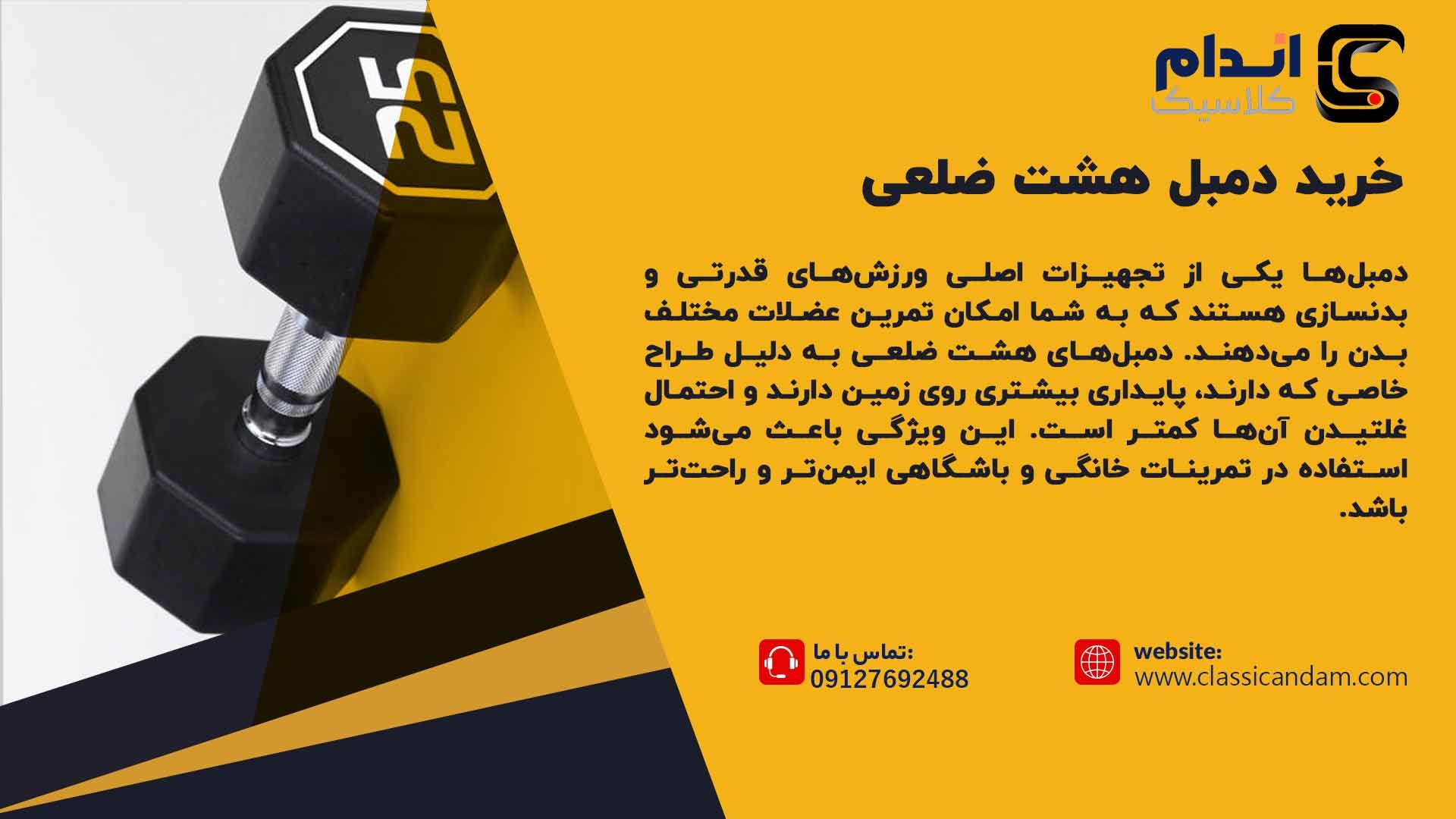 خرید دمبل 8 ضلعی