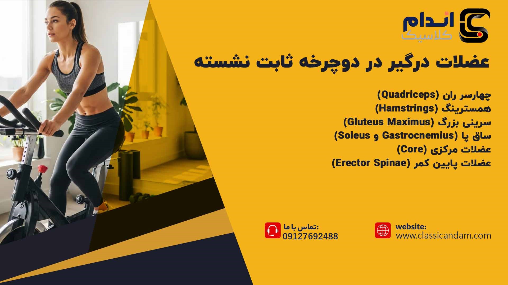 عضلات درگیر در دوچرخه ثابت نشسته