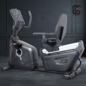 دوچرخه ثابت پشتی دار EcoFit مدل 9500