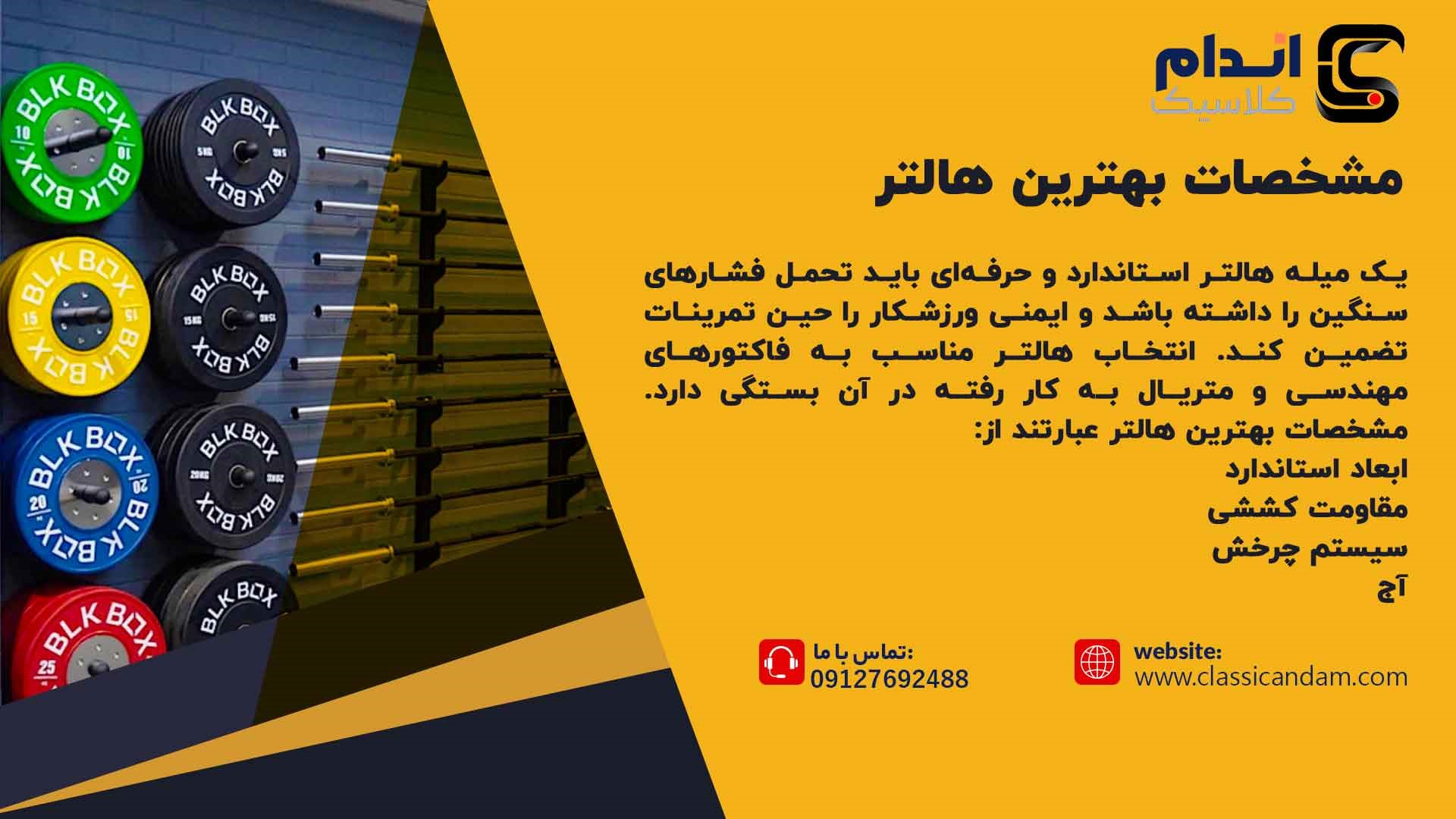 هالتر