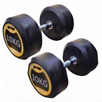 دمبل گرد 10 کیلویی